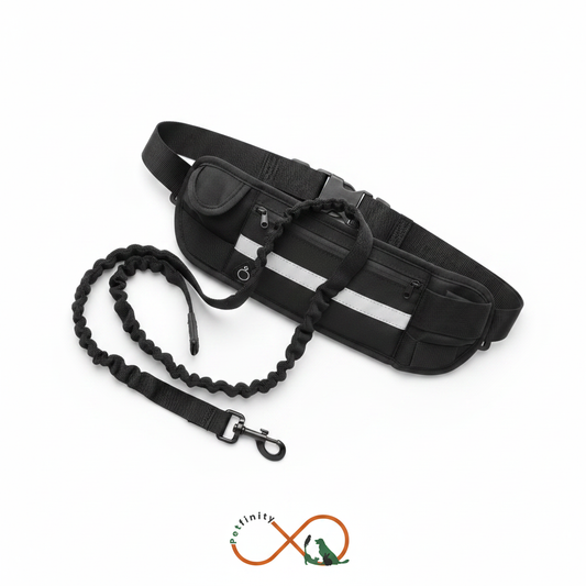 Leash Draped Over Belt — Angled Flat Lay